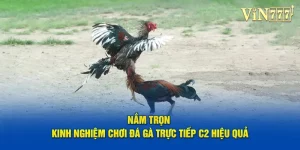 Đá Gà Trực Tiếp C2