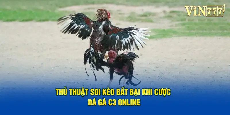 Thủ thuật soi kèo bất bại khi cược đá gà trực tiếp C3