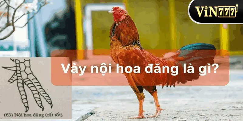 Vảy gà nội hoa đăng